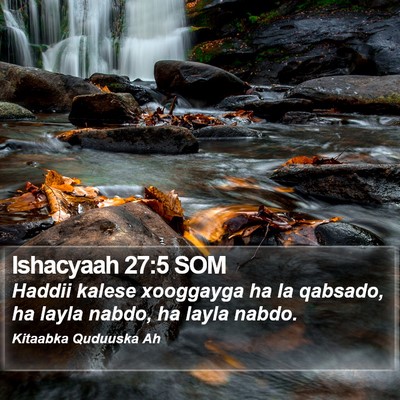 Ishacyaah 27:5 SOM Bible Verse Image