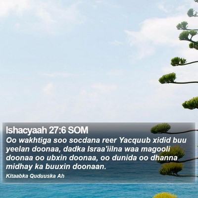 Ishacyaah 27:6 SOM Bible Verse Image
