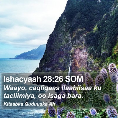 Ishacyaah 28:26 SOM Bible Verse Image