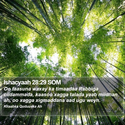 Ishacyaah 28:29 SOM Bible Verse Image