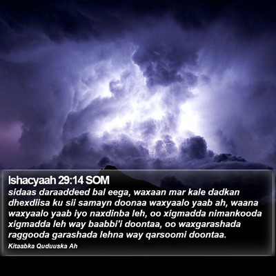Ishacyaah 29:14 SOM Bible Verse Image