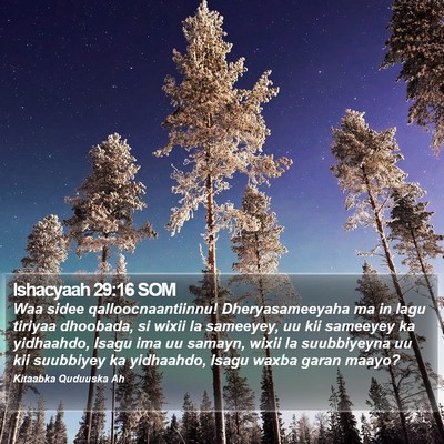 Ishacyaah 29:16 SOM Bible Verse Image