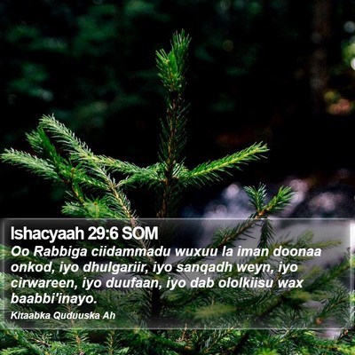 Ishacyaah 29:6 SOM Bible Verse Image