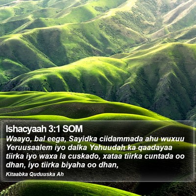 Ishacyaah 3:1 SOM Bible Verse Image