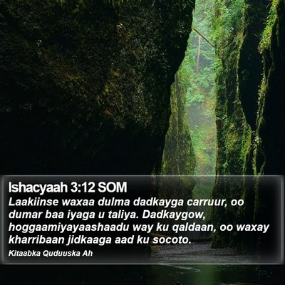 Ishacyaah 3:12 SOM Bible Verse Image