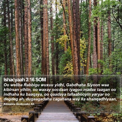 Ishacyaah 3:16 SOM Bible Verse Image