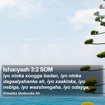 Ishacyaah 3:2 SOM Bible Verse Image