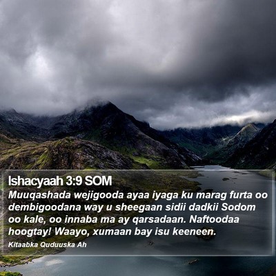 Ishacyaah 3:9 SOM Bible Verse Image