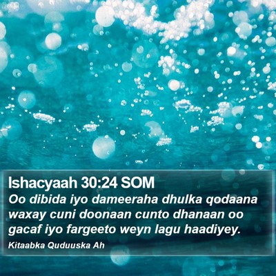 Ishacyaah 30:24 SOM Bible Verse Image