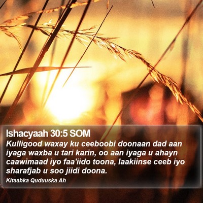 Ishacyaah 30:5 SOM Bible Verse Image