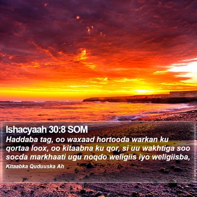 Ishacyaah 30:8 SOM Bible Verse Image