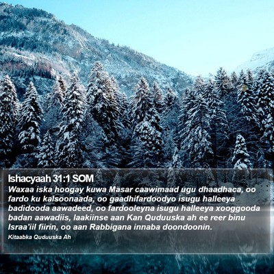 Ishacyaah 31:1 SOM Bible Verse Image