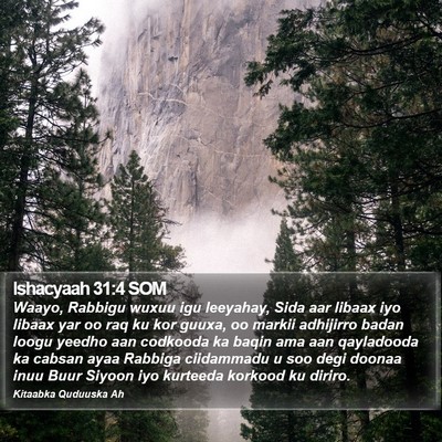 Ishacyaah 31:4 SOM Bible Verse Image