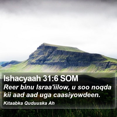 Ishacyaah 31:6 SOM Bible Verse Image
