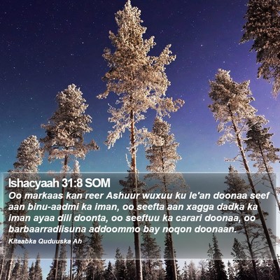 Ishacyaah 31:8 SOM Bible Verse Image