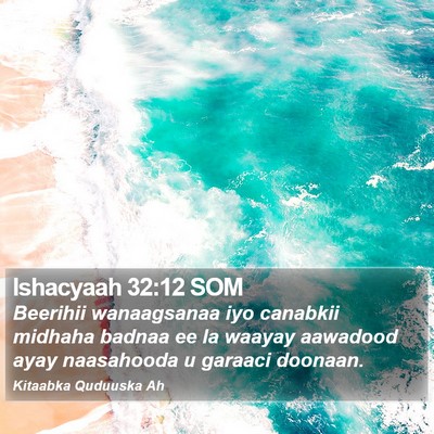 Ishacyaah 32:12 SOM Bible Verse Image