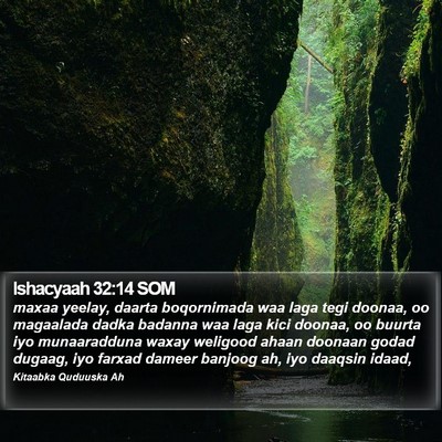 Ishacyaah 32:14 SOM Bible Verse Image