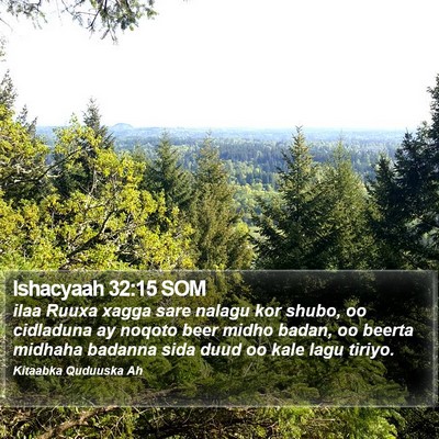 Ishacyaah 32:15 SOM Bible Verse Image