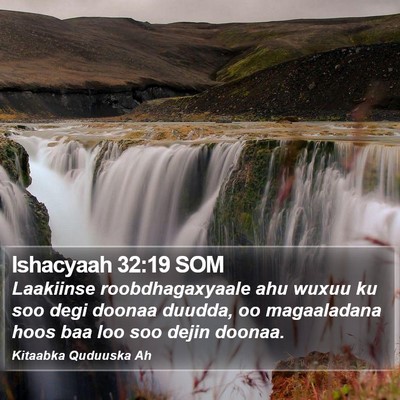 Ishacyaah 32:19 SOM Bible Verse Image