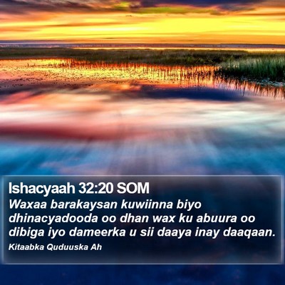 Ishacyaah 32:20 SOM Bible Verse Image