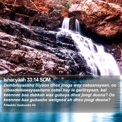 Ishacyaah 33:14 SOM Bible Verse Image