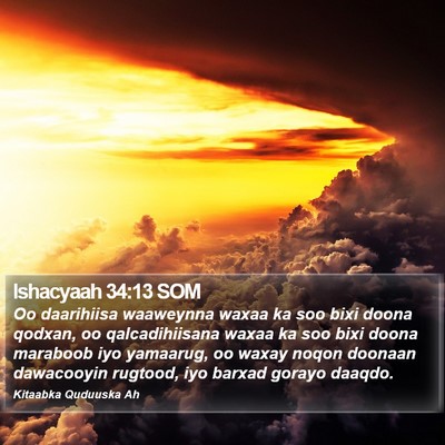 Ishacyaah 34:13 SOM Bible Verse Image