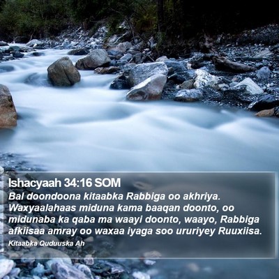 Ishacyaah 34:16 SOM Bible Verse Image
