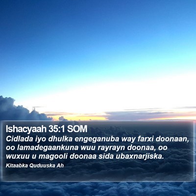 Ishacyaah 35:1 SOM Bible Verse Image