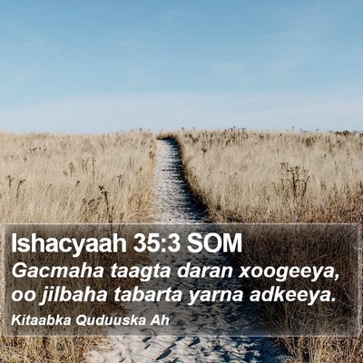 Ishacyaah 35:3 SOM Bible Verse Image