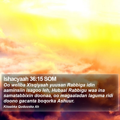 Ishacyaah 36:15 SOM Bible Verse Image