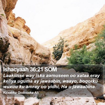 Ishacyaah 36:21 SOM Bible Verse Image