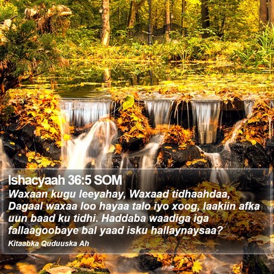 Ishacyaah 36:5 SOM Bible Verse Image
