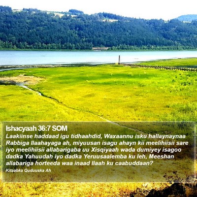 Ishacyaah 36:7 SOM Bible Verse Image