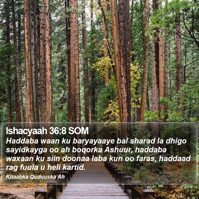 Ishacyaah 36:8 SOM Bible Verse Image