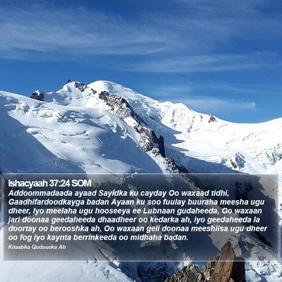 Ishacyaah 37:24 SOM Bible Verse Image