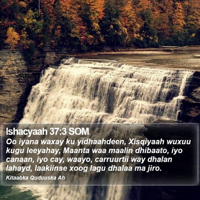Ishacyaah 37:3 SOM Bible Verse Image