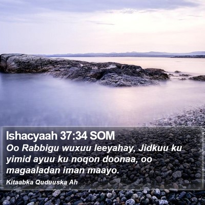 Ishacyaah 37:34 SOM Bible Verse Image