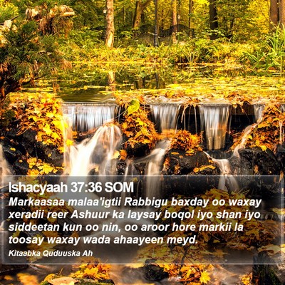 Ishacyaah 37:36 SOM Bible Verse Image