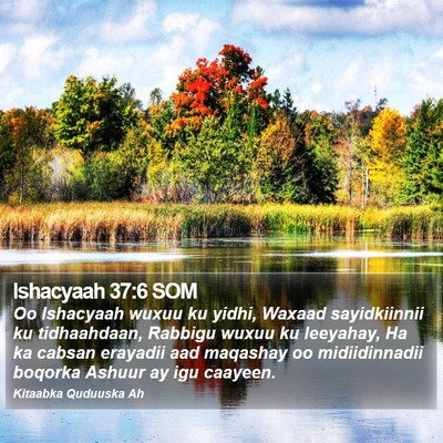 Ishacyaah 37:6 SOM Bible Verse Image