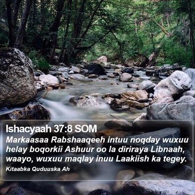 Ishacyaah 37:8 SOM Bible Verse Image