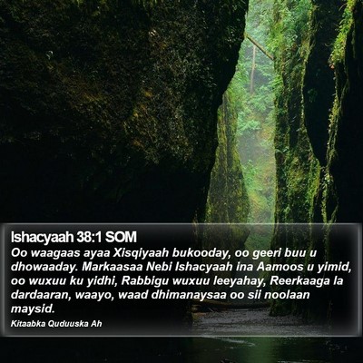 Ishacyaah 38:1 SOM Bible Verse Image