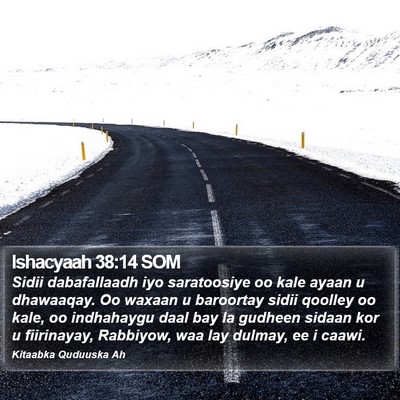 Ishacyaah 38:14 SOM Bible Verse Image