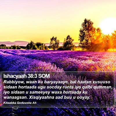 Ishacyaah 38:3 SOM Bible Verse Image