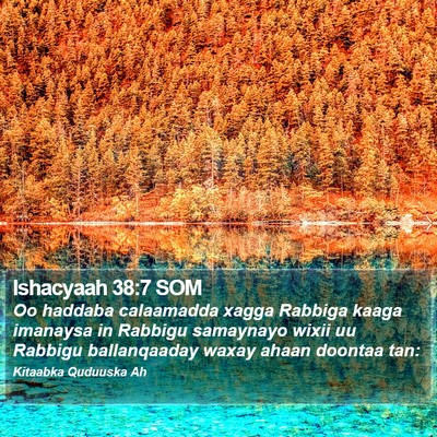 Ishacyaah 38:7 SOM Bible Verse Image