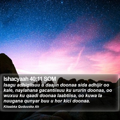 Ishacyaah 40:11 SOM Bible Verse Image