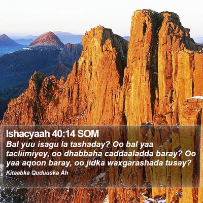 Ishacyaah 40:14 SOM Bible Verse Image
