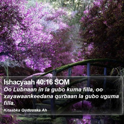 Ishacyaah 40:16 SOM Bible Verse Image