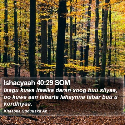 Ishacyaah 40:29 SOM Bible Verse Image