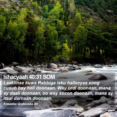 Ishacyaah 40:31 SOM Bible Verse Image