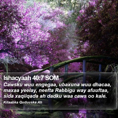 Ishacyaah 40:7 SOM Bible Verse Image